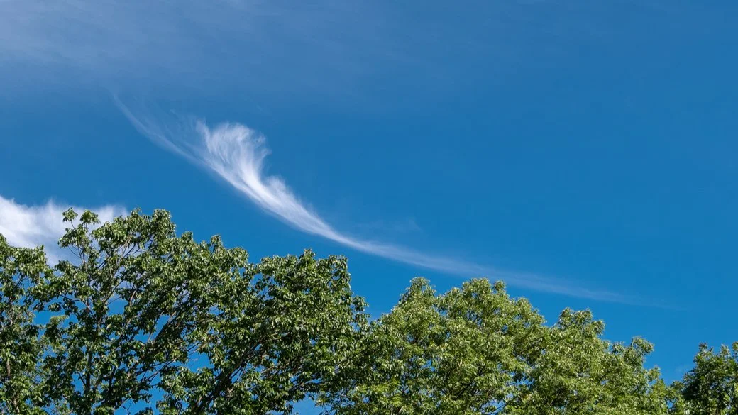 Photograph of wispy cirrus uncinus clouds