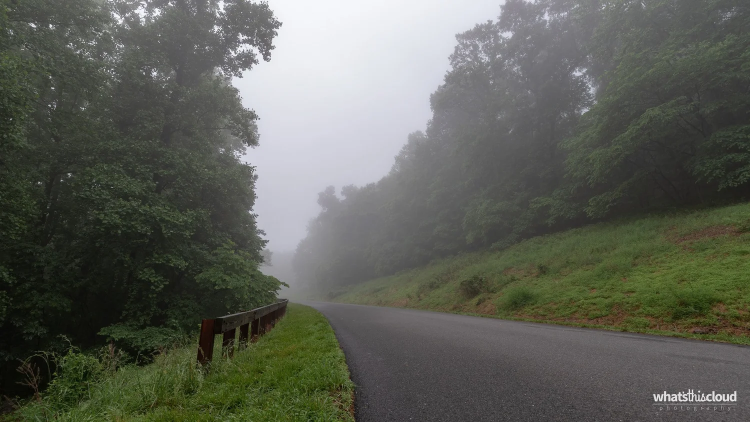 Photograph of stratus nebulosus opacus lowering visibility along a road