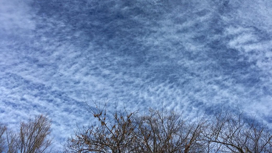 Cirrocumulus stratiformis lacunosus (Cc str la)