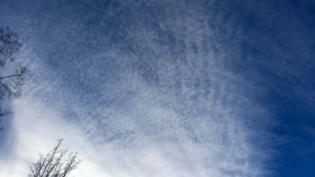 Cirrocumulus stratiformis lacunosus undulatus (Cc str la un)