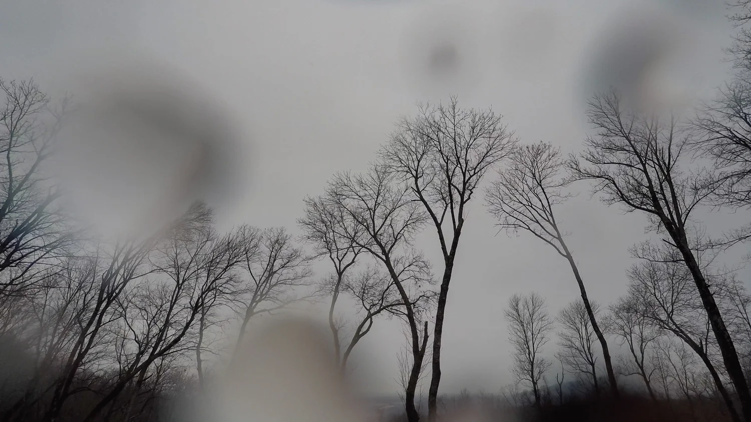 Nimbostratus praecipitatio (Ns pra)