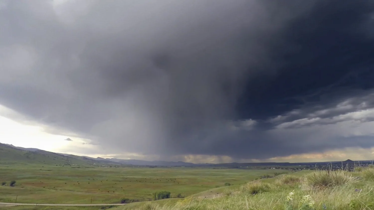 Nimbostratus virga (Ns vir)