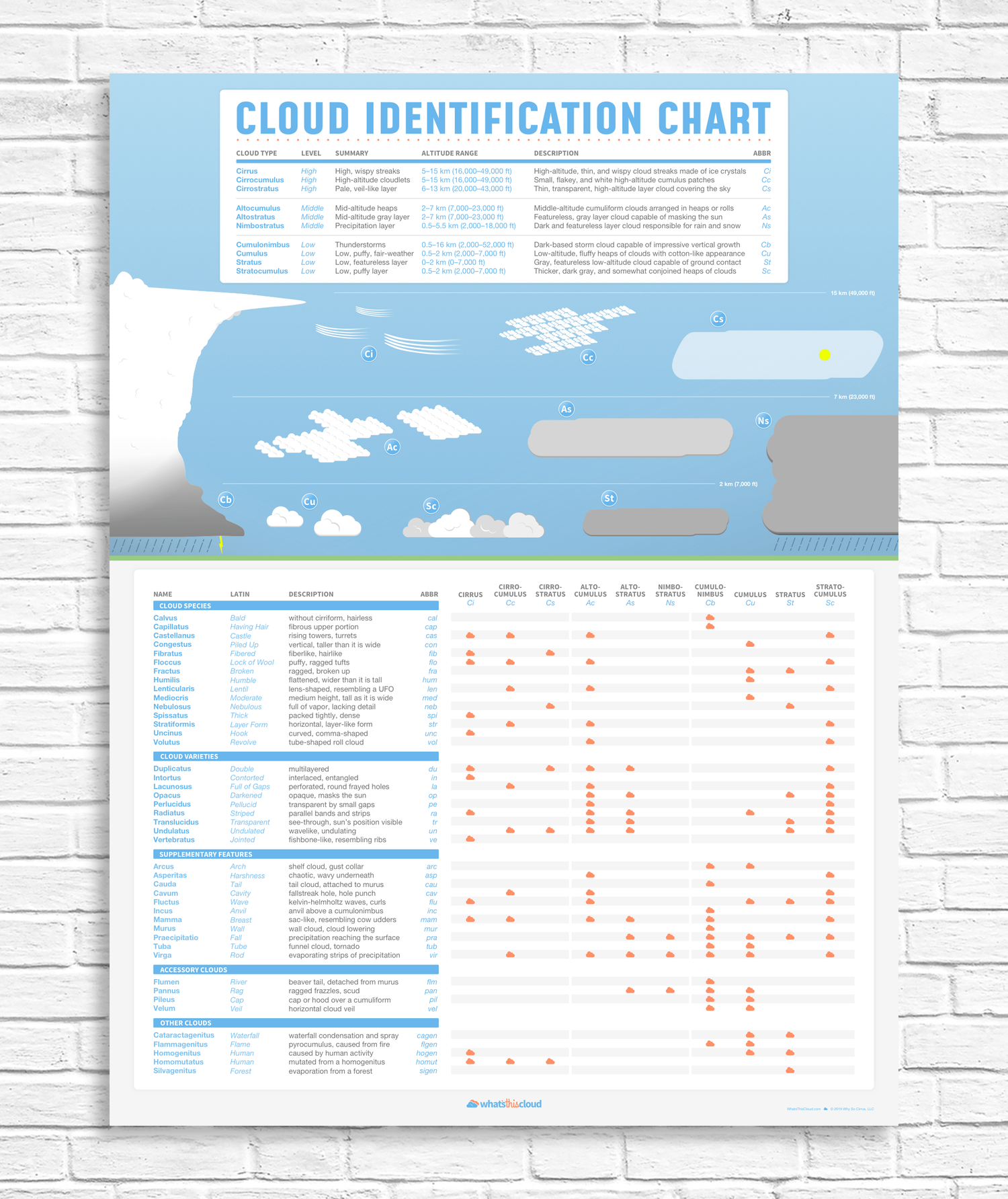Illustration of cloud identification chart - 18x24