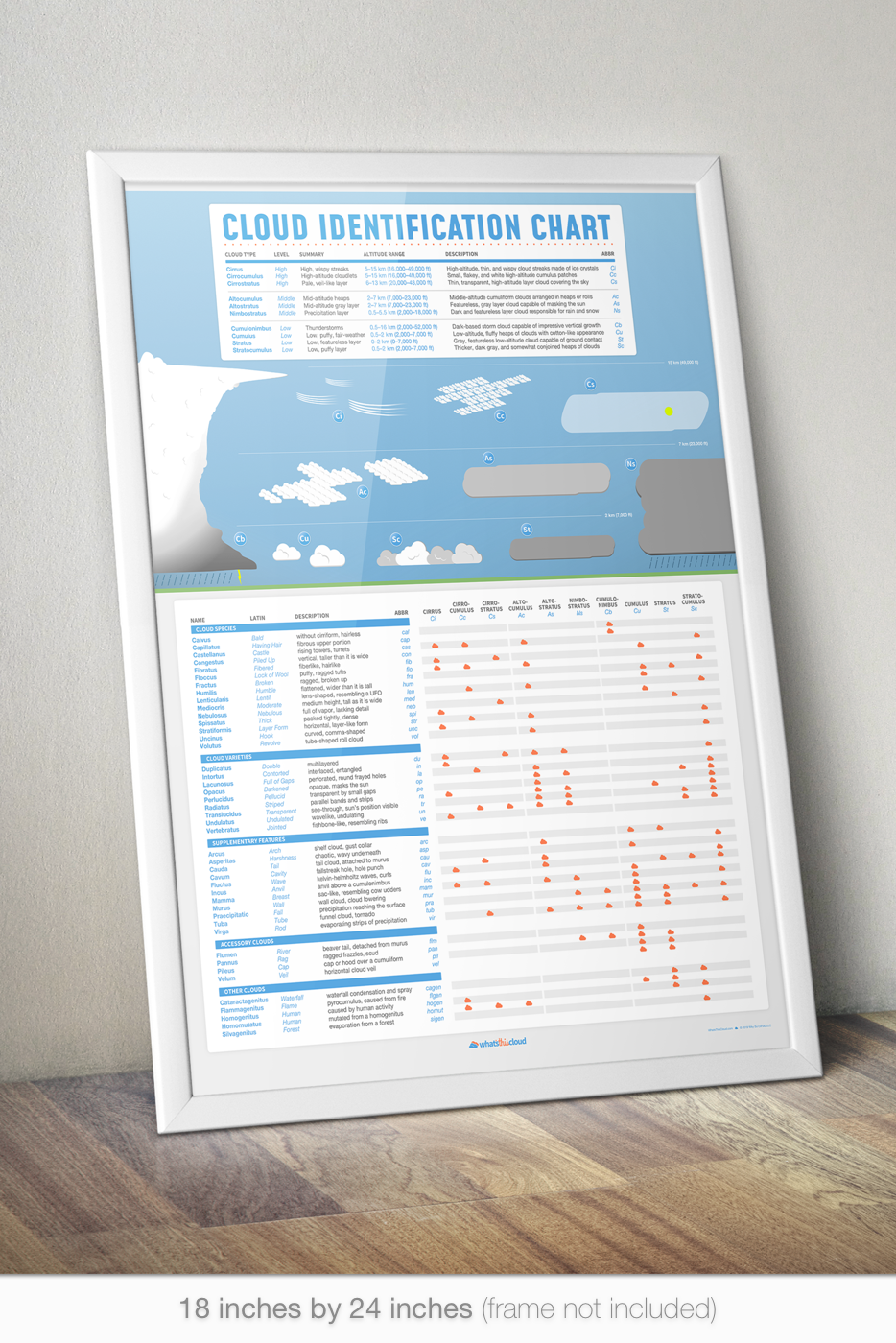 Cloud Identification Chart Poster