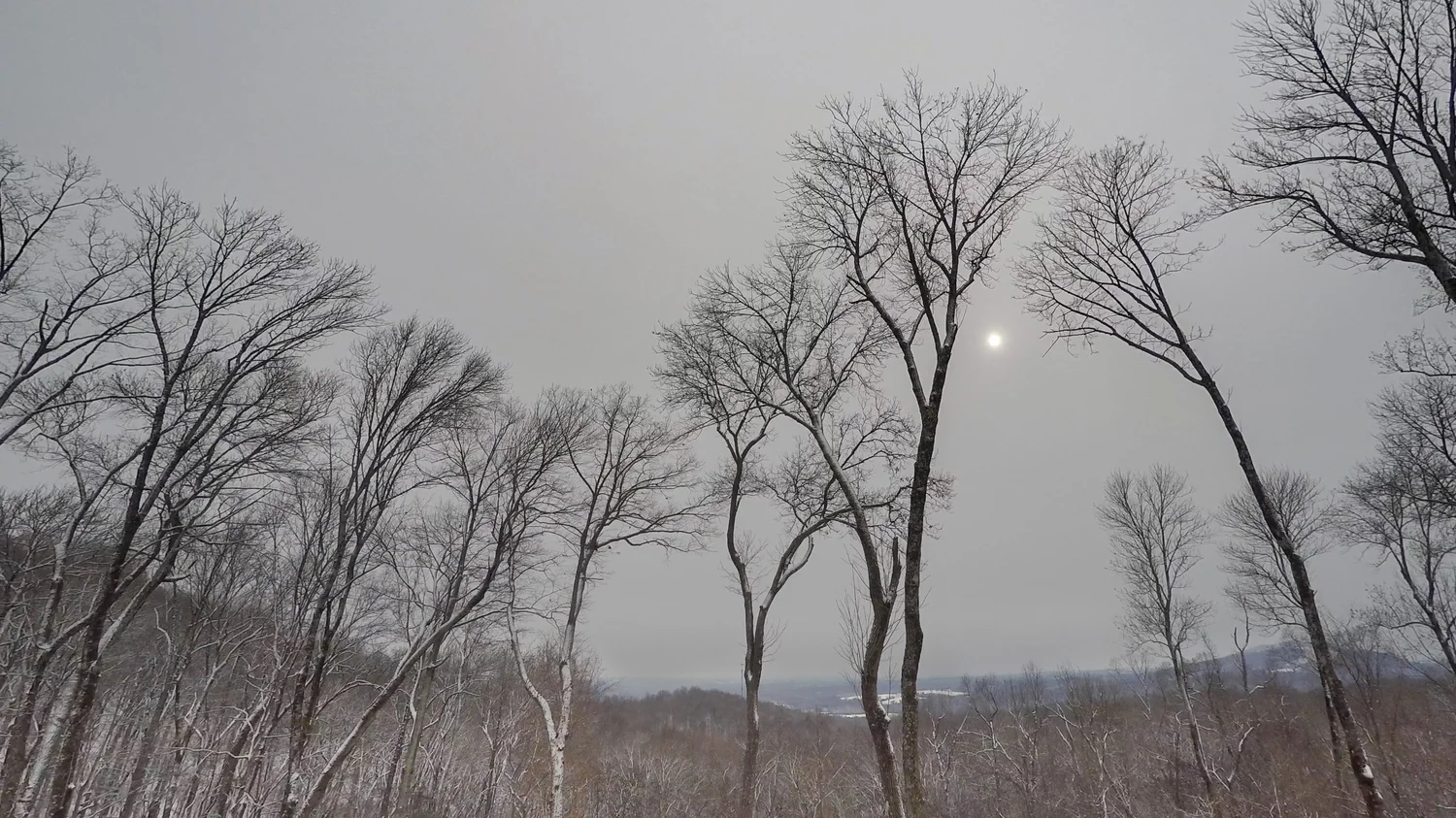 Altostratus translucidus (As tr)