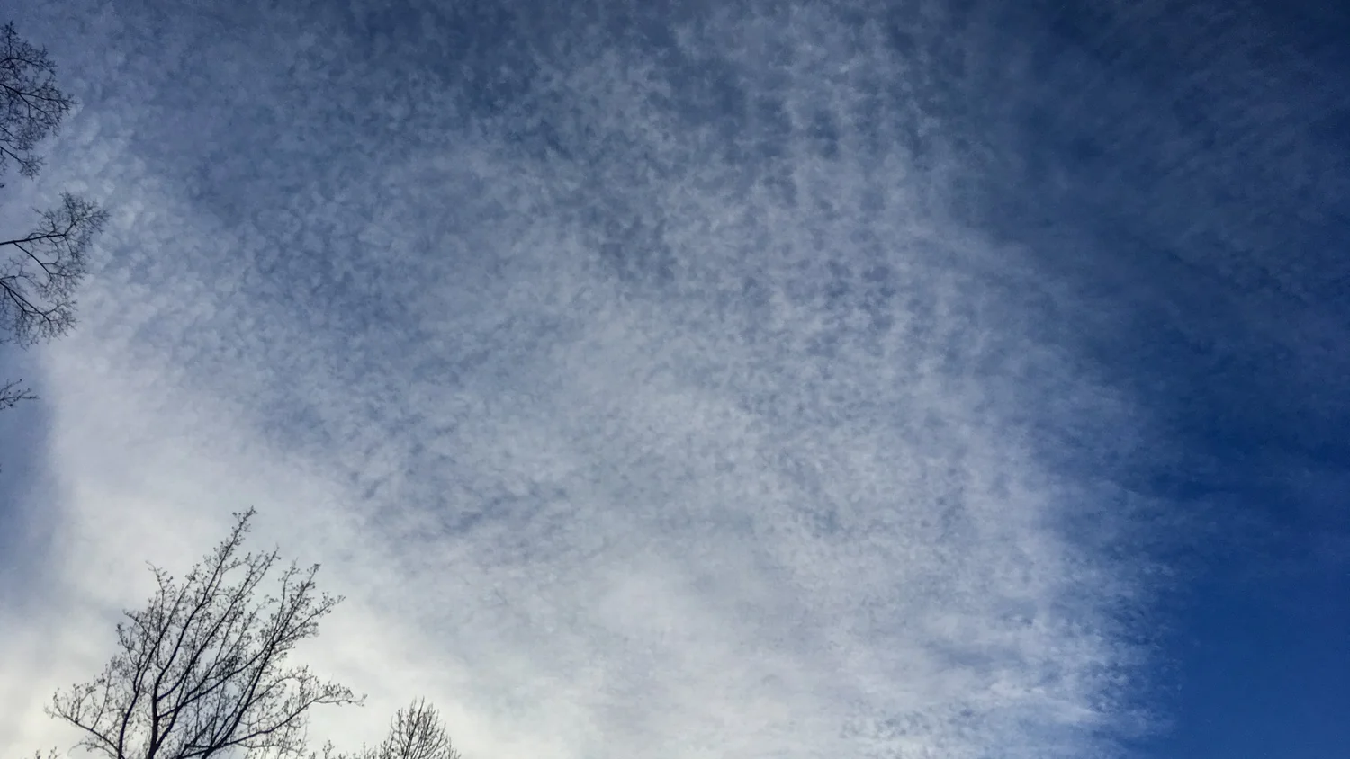 Cirrocumulus stratiformis undulatus lacunosus (Cc str un la)