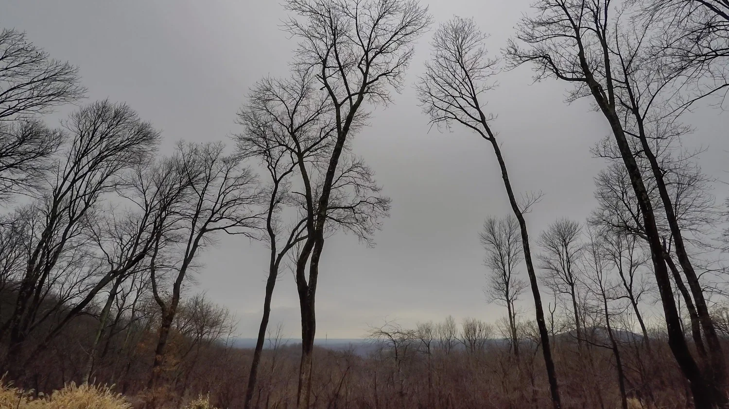 Altostratus opacus (As op)