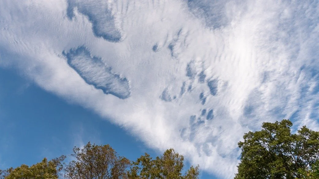 Cirrocumulus stratiformis undulatus cavum (Cc str un cav)
