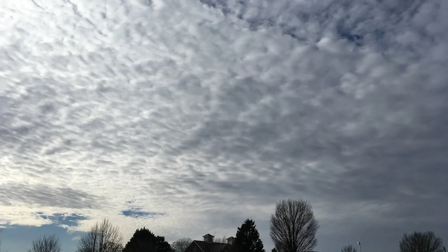 Altocumulus stratiformis (Ac str)