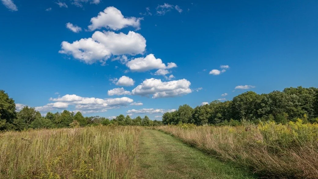 Photograph of cumulus humilis clouds