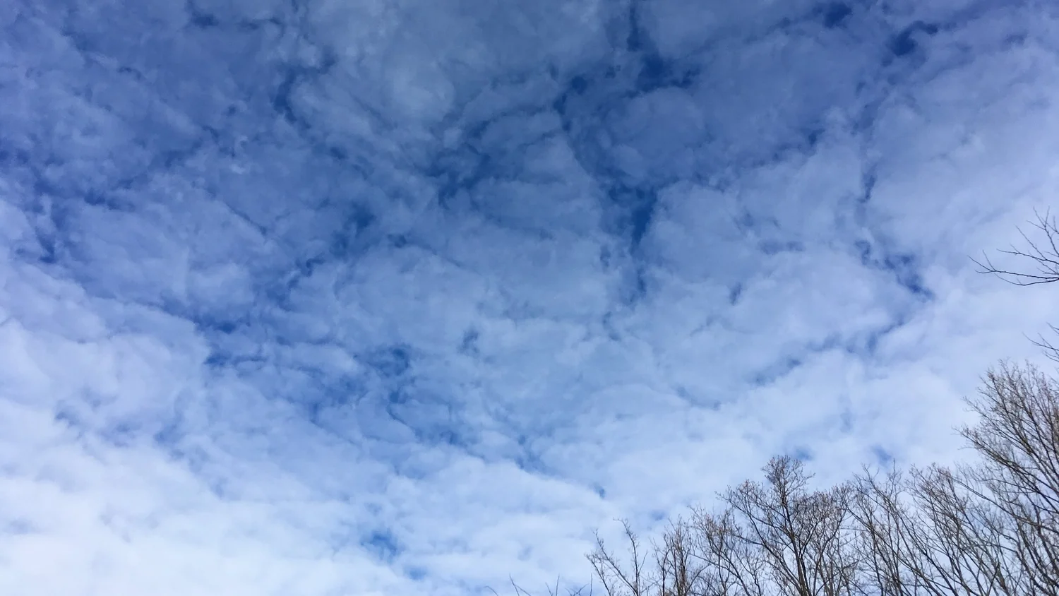 Altocumulus stratiformis perlucidus translucidus (Ac str pe tr)