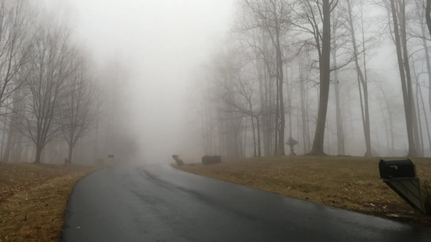 Nimbostratus (Ns)