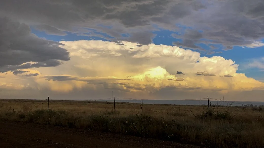 Cumulonimbus capillatus incus (Cu cap inc)