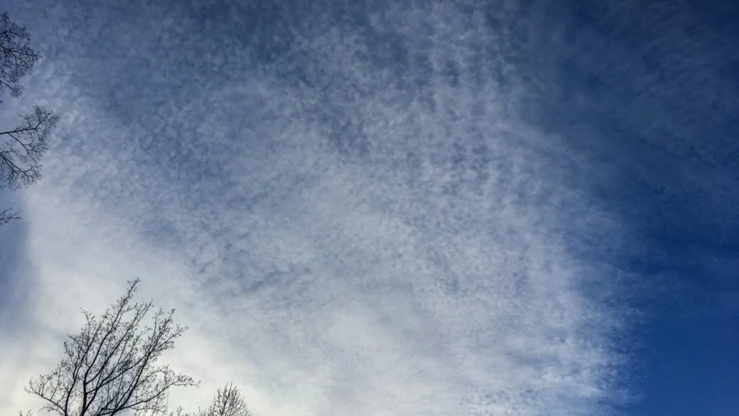 Cirrocumulus stratiformis lacunosus undulatus (Ac str la un)