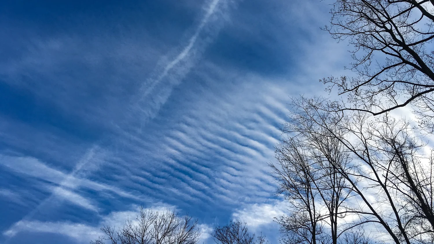 Cirrocumulus stratiformis undulatus (Cc str un)