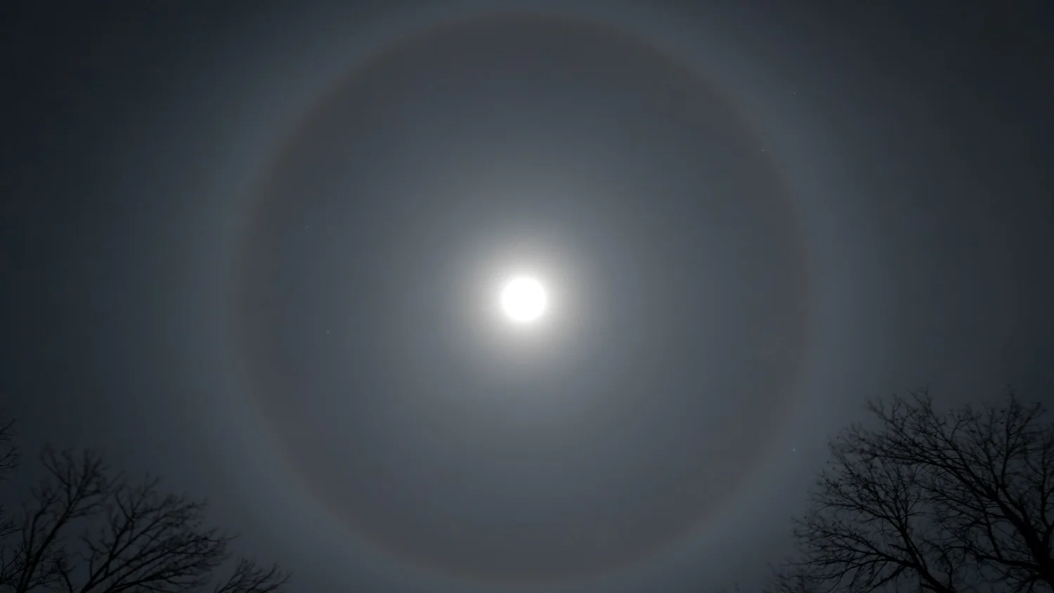 Cirrostratus fibratus (Cs fib) with a 22° halo