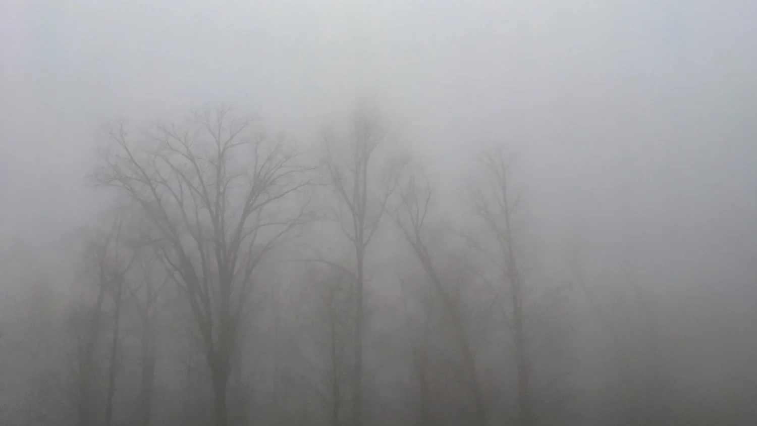 Stratus nebulosus (St neb)