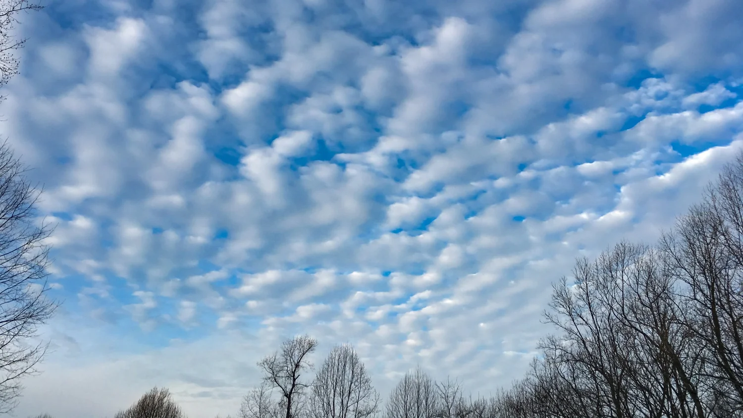 Altocumulus stratiformis perlucidus undulatus (Ac str pe un)