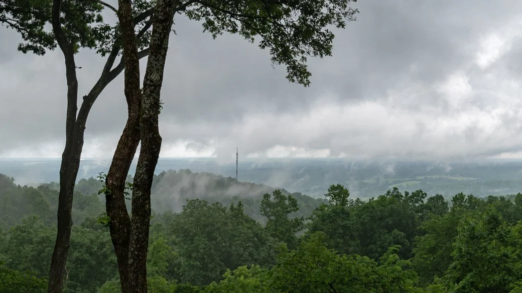 Stratus fractus silvagenitus (St fra sigen)