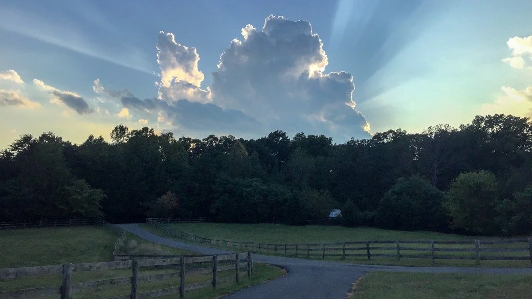 Photograph of a cumulus congestus cloud