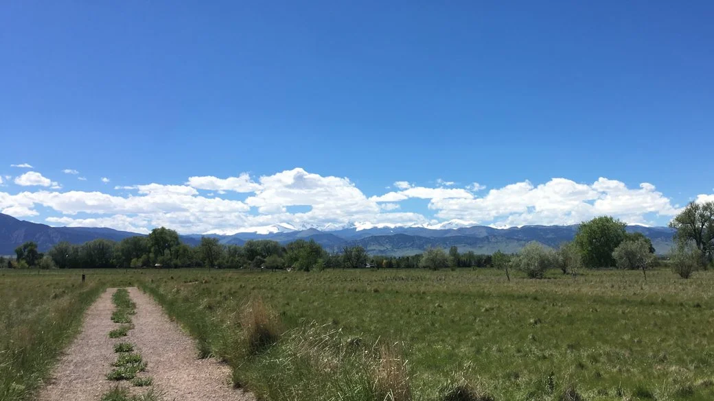 Cumulus humilis (Cu hum)