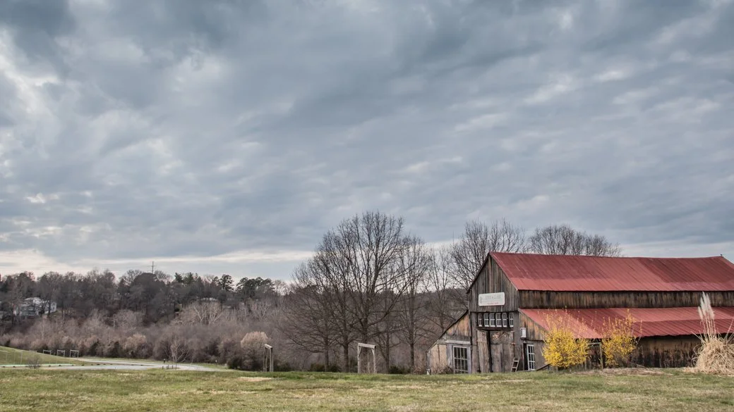 Stratocumulus stratiformis (Sc str)