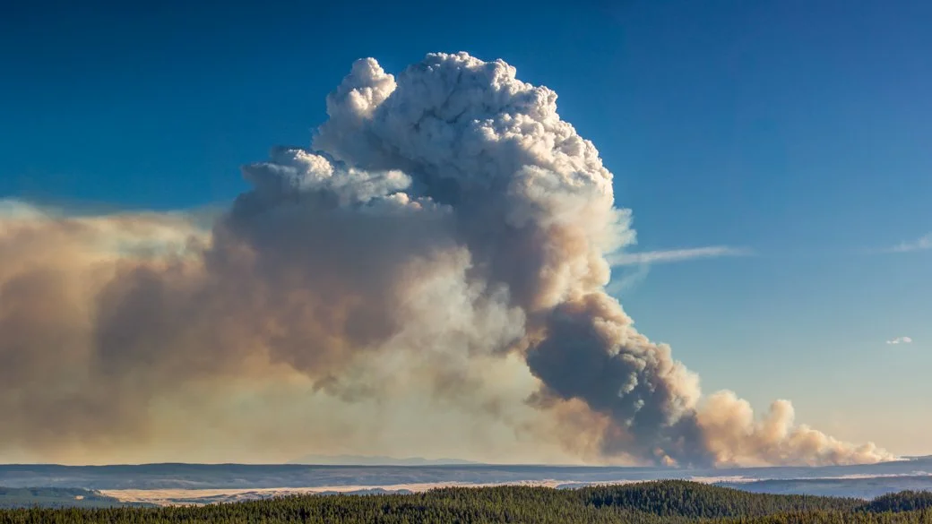 Cumulus congestus flammagenitus (Cu con flgen)