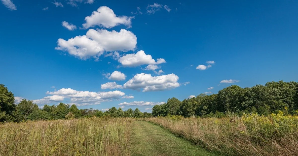 Illustration of cumulus humilis (cu hum)