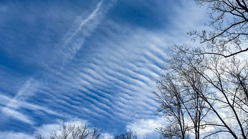 Cirrocumulus stratiformis undulatus (Cc str un)