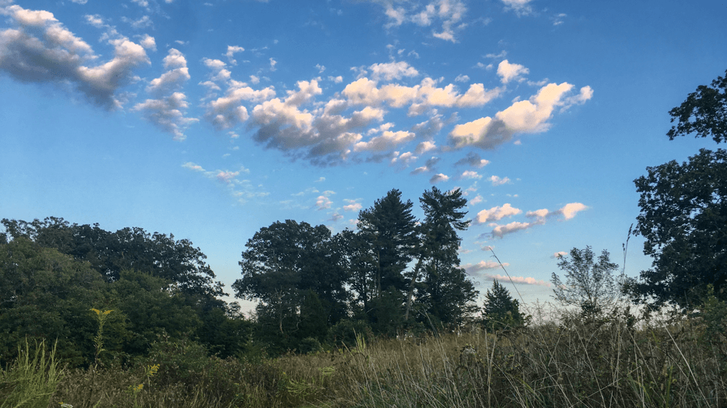 Photograph of altocumulus floccus clouds