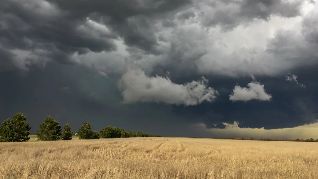 Nimbostratus praecipitatio pannus (Ns pra pan)