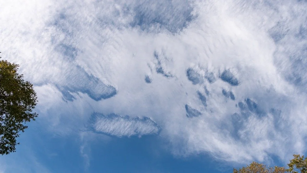 Cirrocumulus stratiformis undulatus cavum (Cc str un cav)