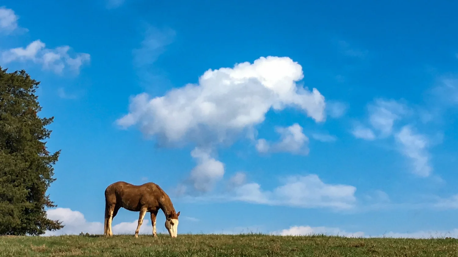 Cumulus (Cu)