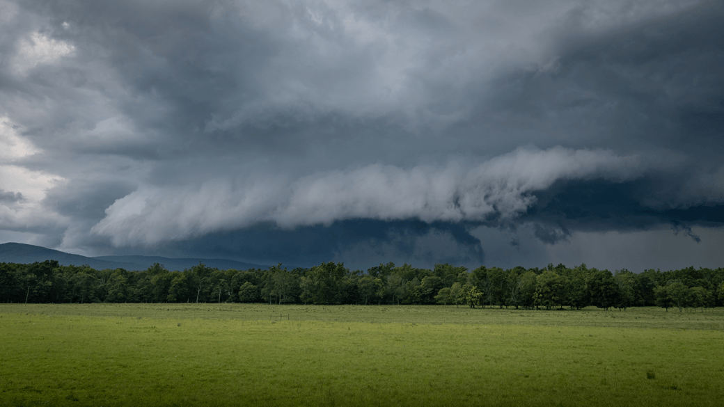 Photograph of cumulonimbus arcus praecipitatio pannus clouds