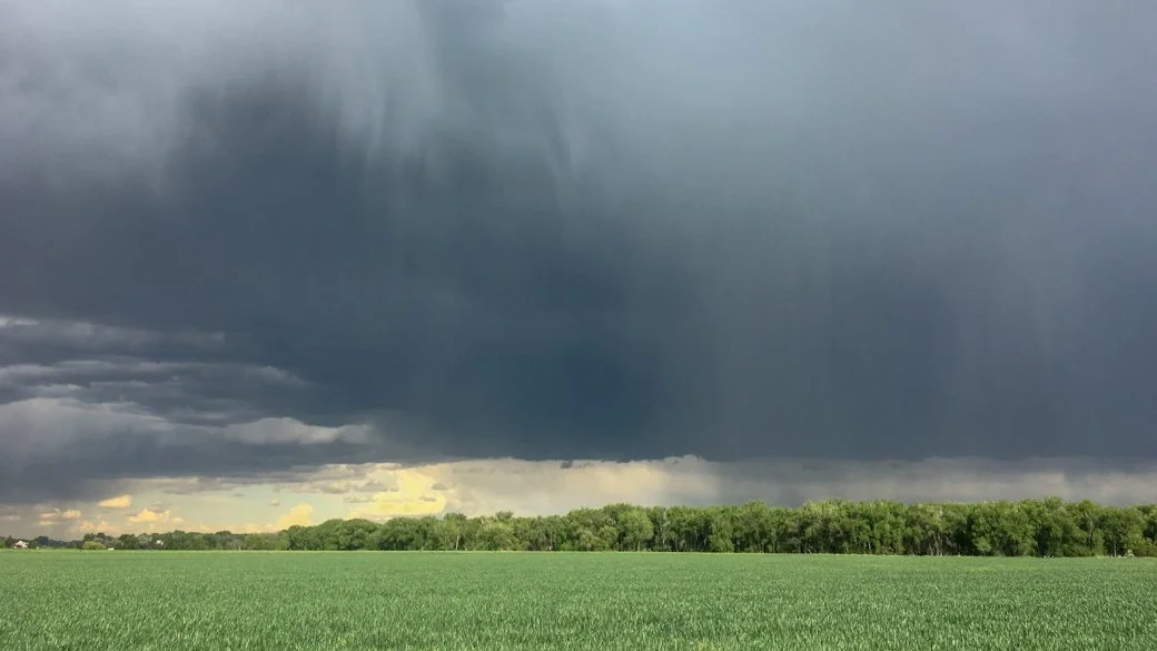 Nimbostratus praecipitatio virga (Ns pra vir)