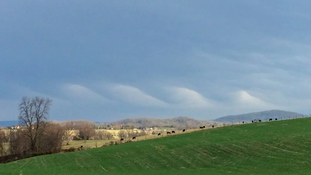Stratus fluctus (St flu)