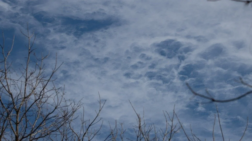Altocumulus lacunosus (Ac la)