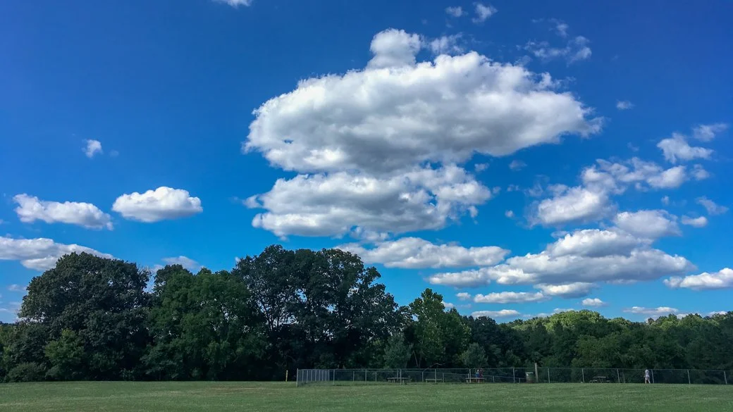 Cumulus humilis (Cu hum)