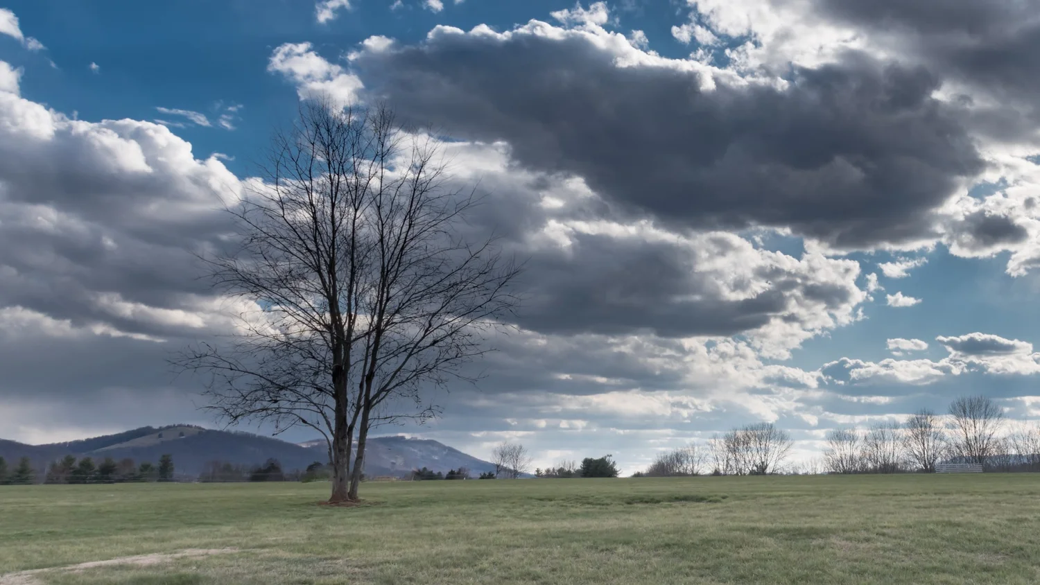 Stratocumulus (Sc)