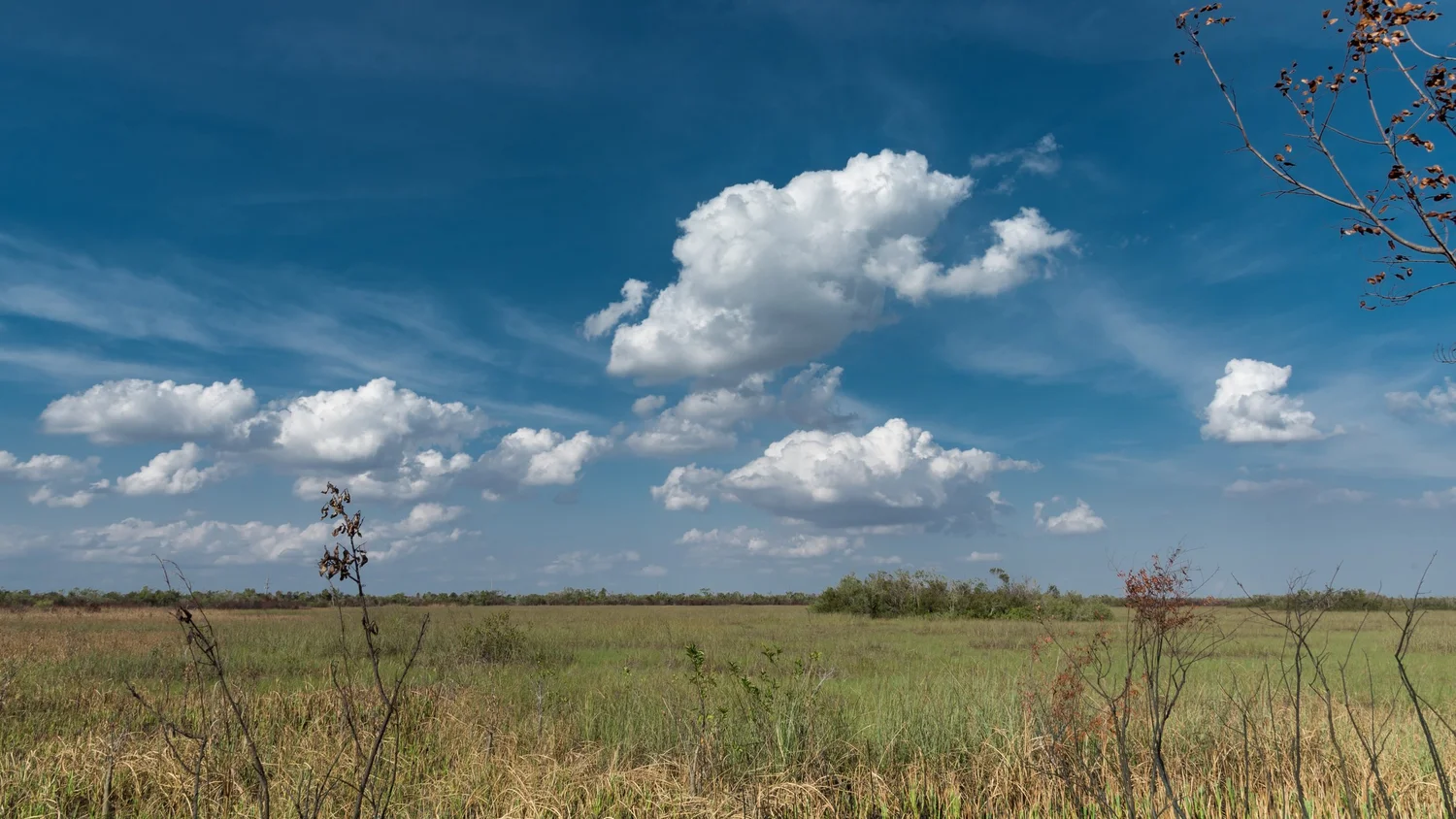 Cumulus (Cu)