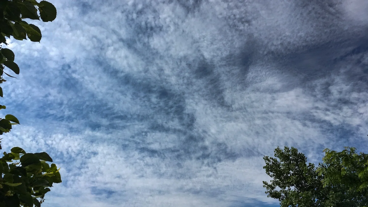 Cirrocumulus stratiformis (Cc str)