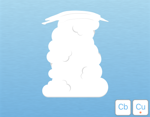Illustration of pileus