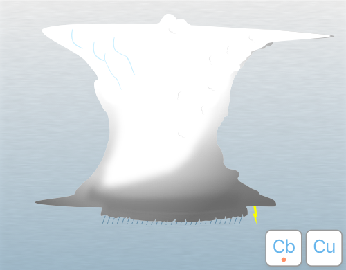 Illustration of arcus