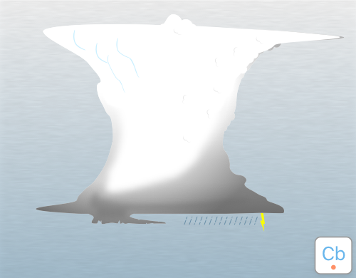 Illustration of cauda