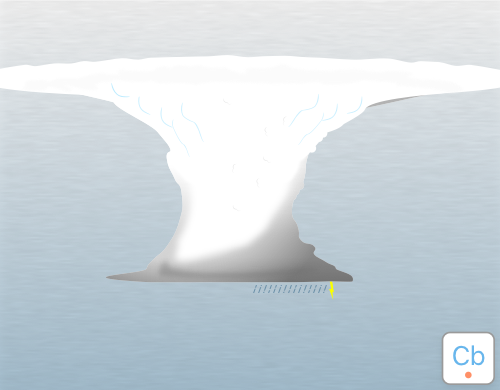 Illustration of incus