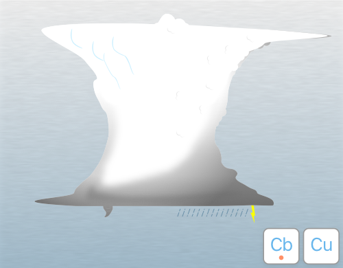 Illustration of tuba