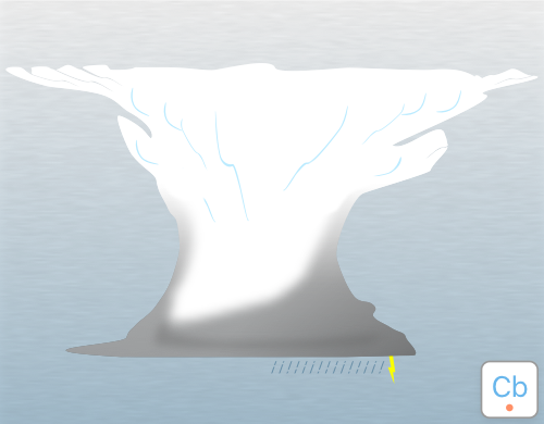 Illustration of capillatus