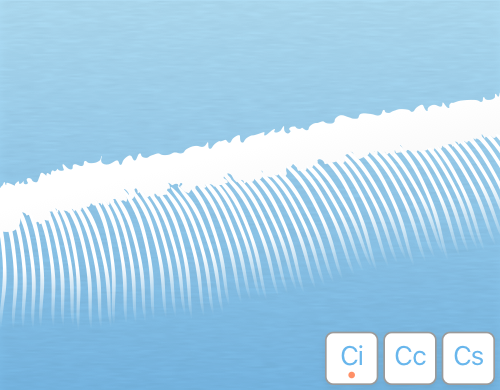 Illustration of homomutatus