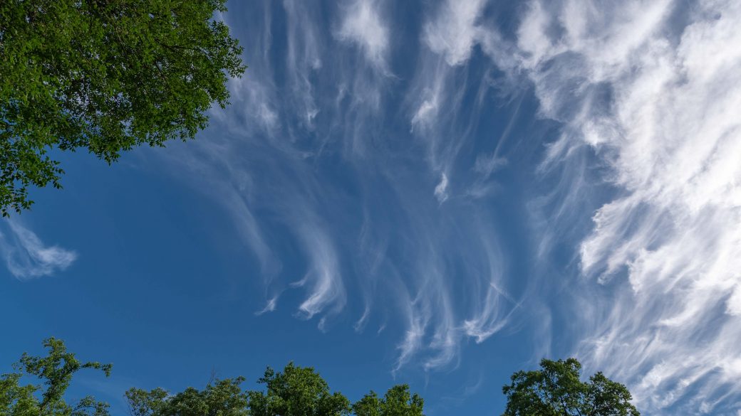 Cirrus Clouds: High, Wispy StreaksThe ultimate guide to learning cloud types
