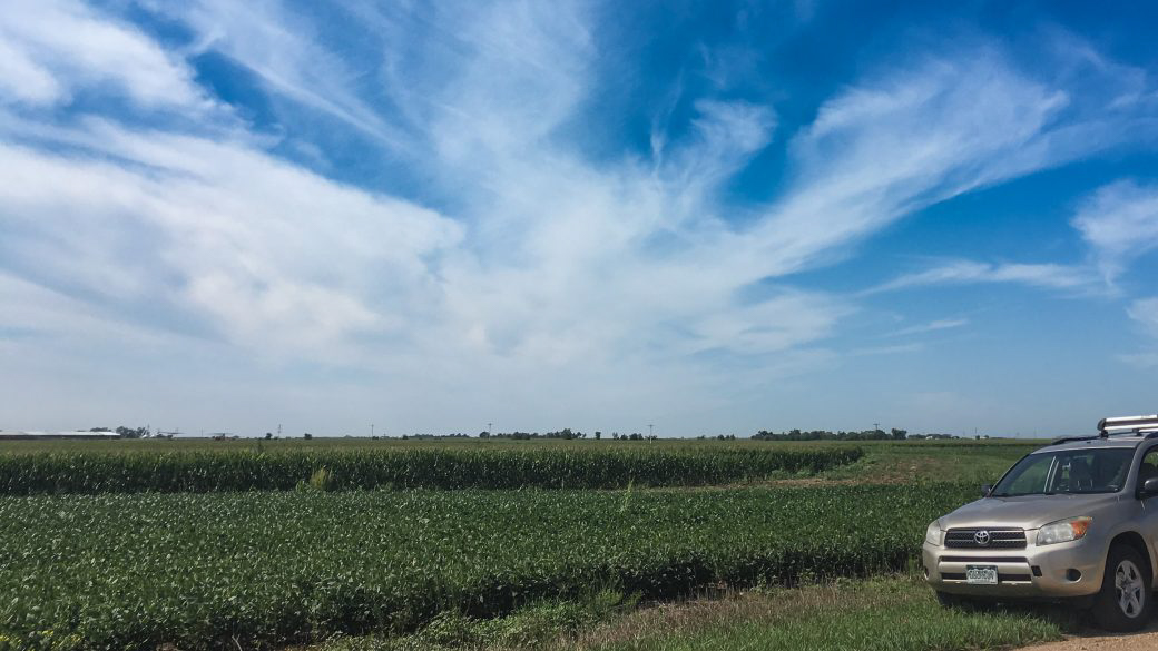 A photograph of cirrus spissatus clouds (Ci spi) over a farm in Nebraska